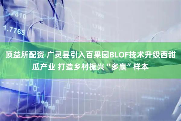 顶益所配资 广灵县引入百果园BLOF技术升级西甜瓜产业 打造乡村振兴“多赢”样本