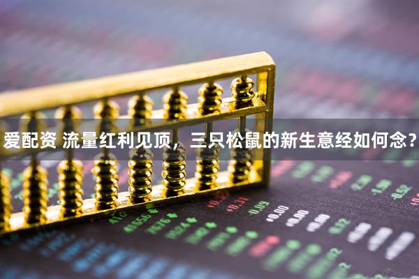 爱配资 流量红利见顶，三只松鼠的新生意经如何念？