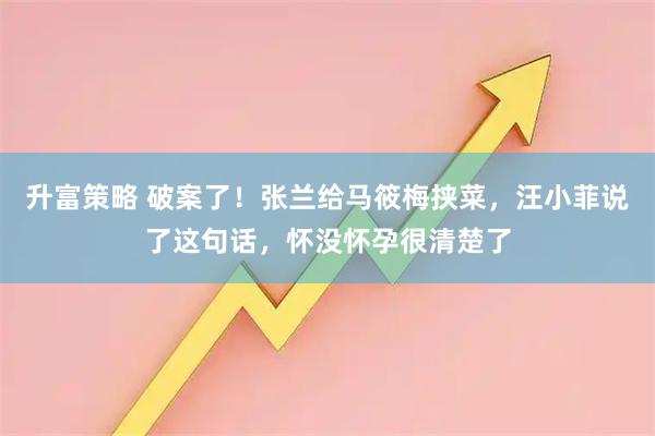 升富策略 破案了!张兰给马筱梅挟菜,汪小菲说了这句话,怀没怀孕很清楚了