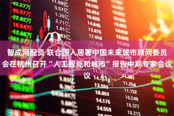 智成网配资 联合国人居署中国未来城市顾问委员会在杭州召开“人工智能和城市”报告中期专家会议